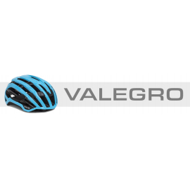 Valegro Team Ineos